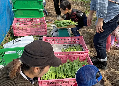 学びのアプローチ